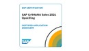 C_TS460_2021 SAP S/4HANA Sales Certification (Português)-缩略图