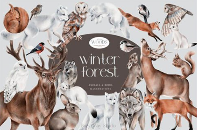 Winter Forest Animals and Birds PNG 18762380