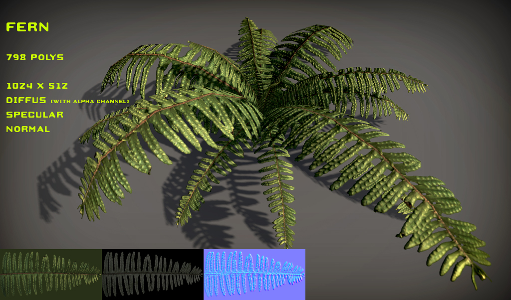6个热带植物3d模型素材包Free tropical plant pack