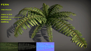 6个热带植物3d模型素材包Free tropical plant pack-缩略图
