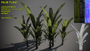 6个热带植物3d模型素材包Free tropical plant pack-缩略图