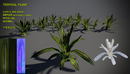 6个热带植物3d模型素材包Free tropical plant pack-缩略图