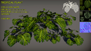 6个热带植物3d模型素材包Free tropical plant pack-缩略图