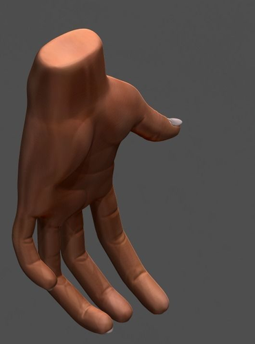 简单的手3D模型文件