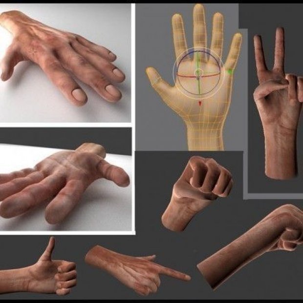 男性手3d模型Rigged Hands 3d model