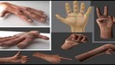 男性手3d模型Rigged Hands 3d model-缩略图