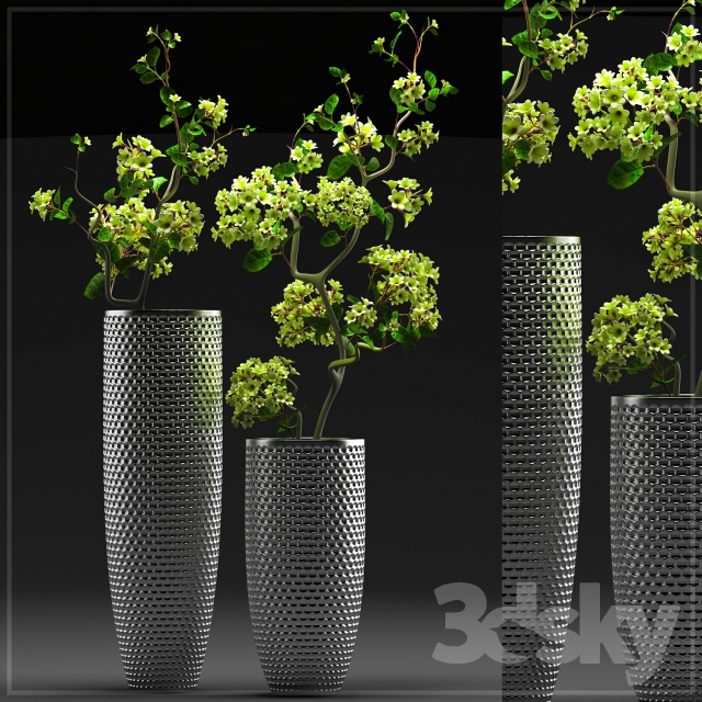 FLOWER SET 3 3d Model MAX