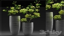 FLOWER SET 3 3d Model MAX-缩略图