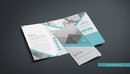CreativeMarket Trifold Brochure 2296592-缩略图