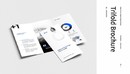 Business Corporate Trifold Brochure-缩略图