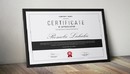 Certificate-缩略图