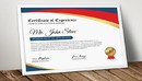 Company Word Certificate Template 2555023-缩略图