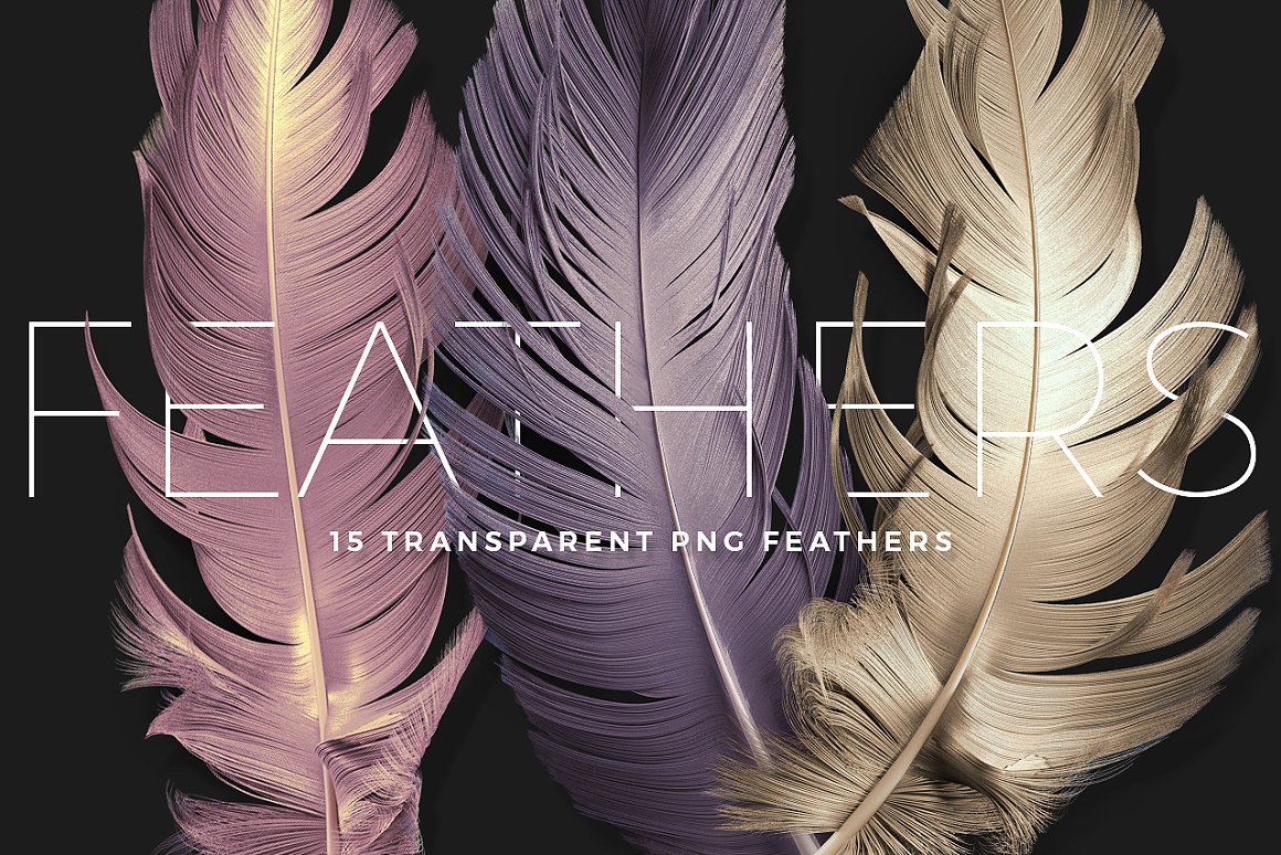 Transparent PNG Feathers Pack