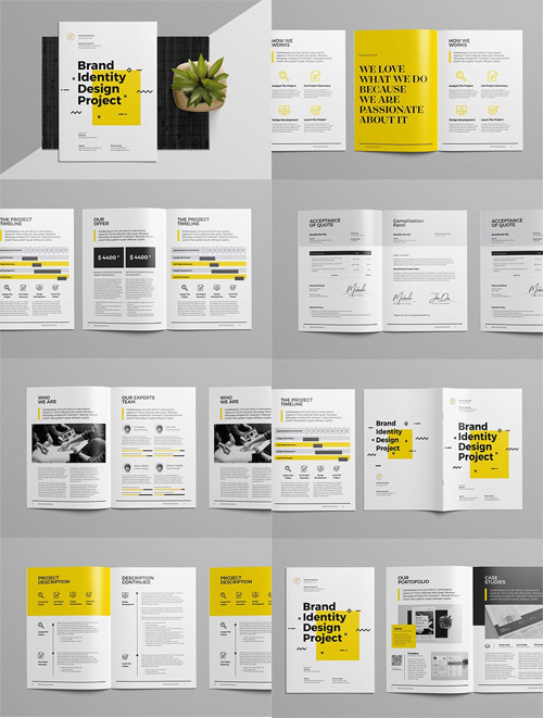 Brand Identity Proposal