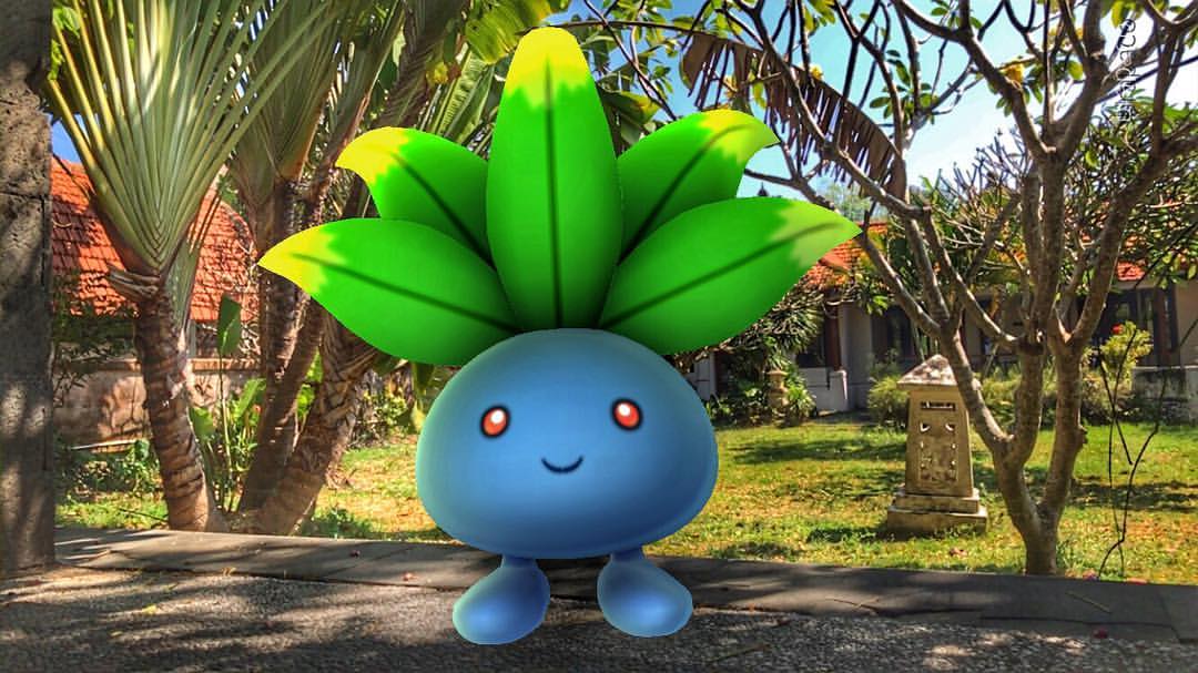 Pokemon Oddium Wanderus