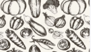 Vegetables - hand drawn seamless pattern-缩略图