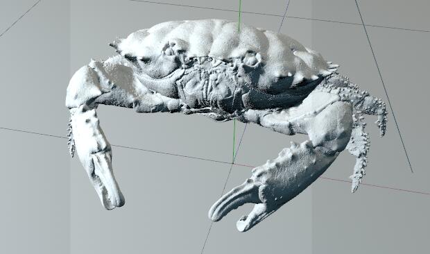 螃蟹 礁蟹C4D模型 Dark Finger Reef Crab