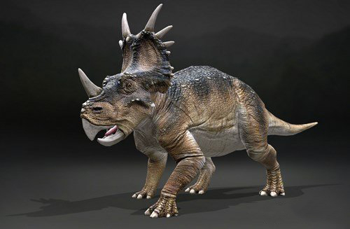 Styracosaurus 3D Model