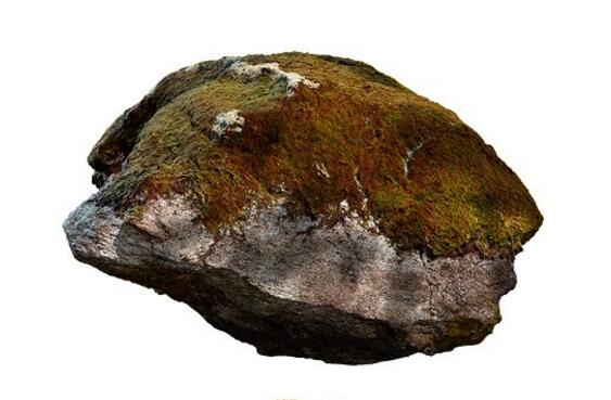 Rock Granite 03 3d Model