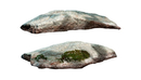 Rock Granite 01 3d Model-缩略图