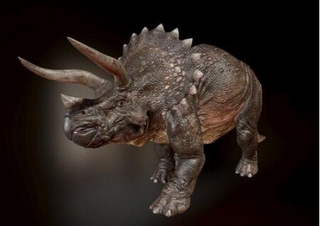 Triceratops – Dinosaur 3D Model