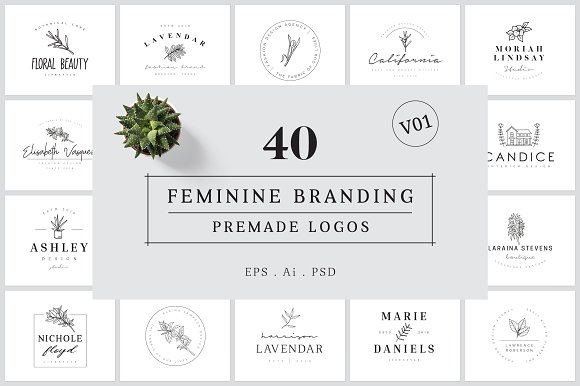 缺 Feminine Branding Premade Logos V01