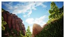 Beauty And The Nature 1 - Motion Graphics 177002-缩略图