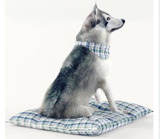 Husky photoscan