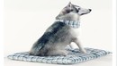 Husky photoscan-缩略图