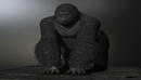 King Kong，金刚模型，fbx格式。-缩略图
