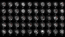 100个汽车轮胎3D模型 PREMIUM 100 Car Wheels Collection-缩略图