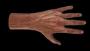 男性手3d模型Rigged Hands 3d model-缩略图