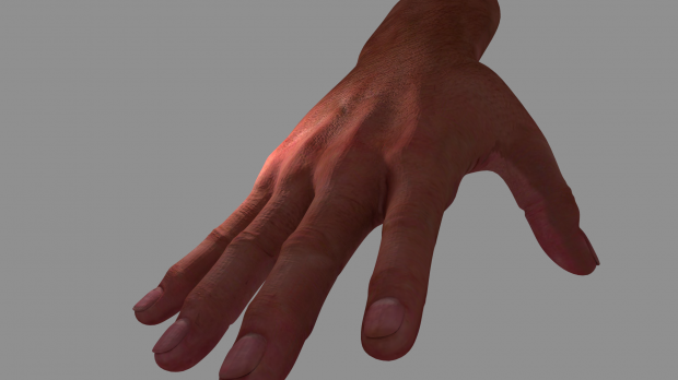 Realistic Hand 3d model现实手3d模型