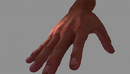 Realistic Hand 3d model现实手3d模型-缩略图