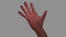 Realistic Hand 3d model现实手3d模型-缩略图