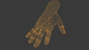 Realistic Hand 3d model现实手3d模型-缩略图