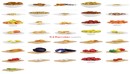 CGAxis Models Volume 73 3D Food VI 蔬菜水果三维模型-缩略图