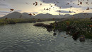 C4D蝴蝶飞舞的河边场景模型 C4D Landscape-缩略图