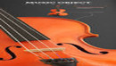 CM - Music Big Bundle Instrument 1241551-缩略图