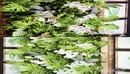 Green wall 3d Model-缩略图