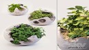 Round concrete pots with plants-缩略图