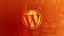 Become a WordPress Developer: Unlocking Power With Code-缩略图