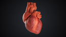 C4D心脏跳动动画模型工程 HEART BEAT FINAL-缩略图