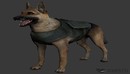 警犬缉毒犬Doggy Army 3D model-缩略图