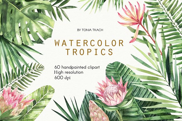 Watercolor Tropics