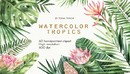 Watercolor Tropics-缩略图