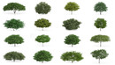 42套C4D高精度景观树模型合集 CGAxis Models Volume 54 – 3D Trees V-缩略图