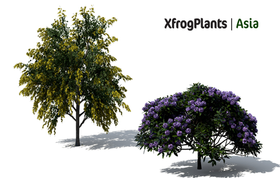 XfrogPlants Volume Bundle (obj format)