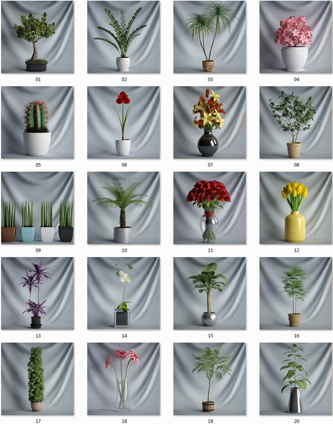 CGAxis Models Volume 1 Plants