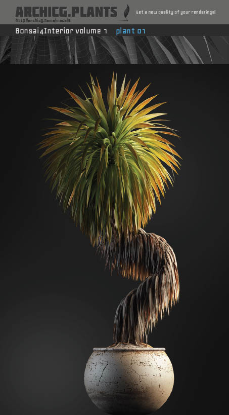 ArchiCG Plants - Bonsai 4 Interior Volume 1